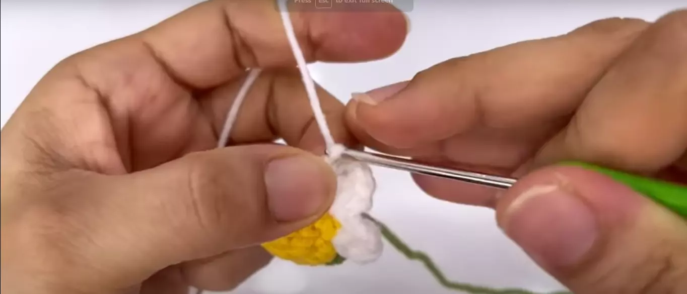 Bước 3: Gắn cánh hoa cúc bằng len Gắn cánh hoa cúc bằng len