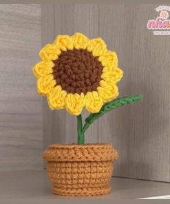 chậu hoa len hướng dương
