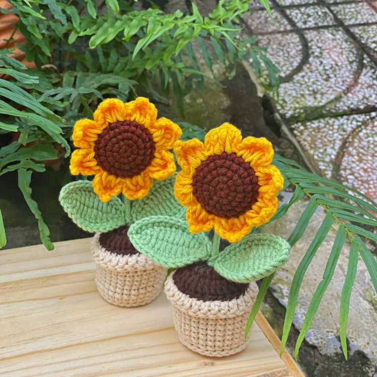 Chậu hoa len hướng dương mini - “best seller” của Tiệm len nhà Ty Chậu hoa len hướng dương mini - “best seller” của Tiệm len nhà Ty