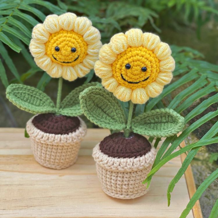 Hoa hướng dương mang nhiều ý nghĩa đặc sắc Hoa hướng dương mang nhiều ý nghĩa đặc sắc