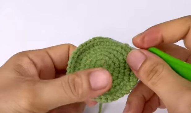 Đài hoa sử dụng len màu xanh lá Đài hoa sử dụng len màu xanh lá