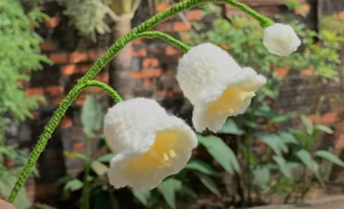 Cách Móc Hoa Linh Lan Bằng Len Handmade Chi Tiết 12 hoa linh lan len hoan thanh